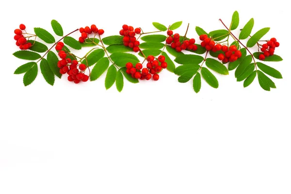 Frame made of rowan berries on white background. Autumn concept. Flat lay, top view, copy space — Stock Photo, Image