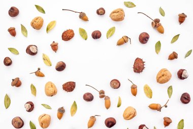 Sonbahar kompozisyon, çerçeve fındık, meşe palamudu, kestane ve beyaz arka plan üzerinde kuru yaprakları yapılmış. Düz döşeme, üst görünüm.