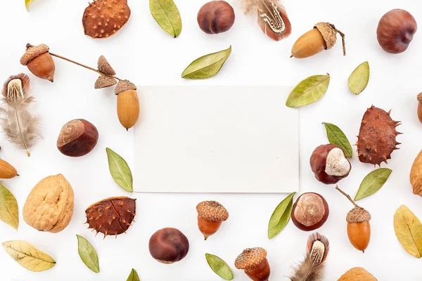 Composición otoñal, marco de nueces, bellotas, castañas y hojas secas sobre fondo blanco. Piso tendido, vista superior . — Foto de Stock