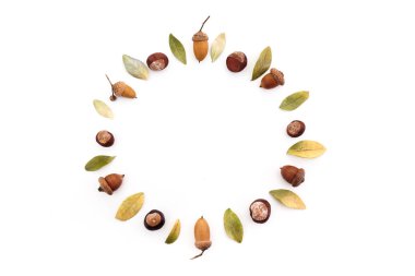 Sonbahar kompozisyon, beyaz arka plan üzerinde meşe palamudu, kestane ve kuru yapraklarından yapılmış çerçeve. Düz döşeme, üst görünüm.