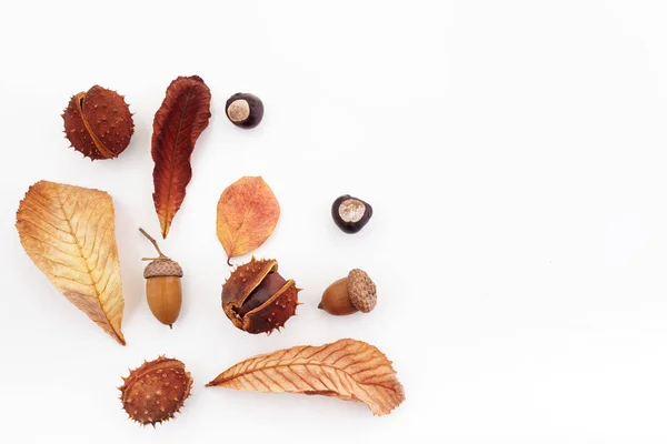 Herfst samenstelling, frame gemaakt van eikels, kastanjes en droge bladeren op witte achtergrond. Platte lay, bovenaanzicht. — Stockfoto