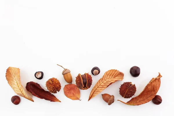 Composizione autunnale, cornice composta da ghiande, castagne e foglie secche su fondo bianco. Posa piatta, vista dall'alto . — Foto Stock