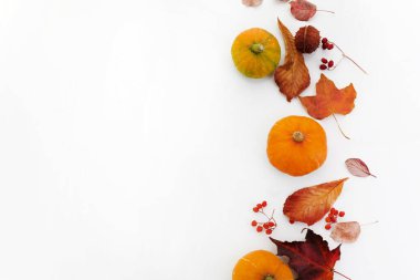 Sonbahar kompozisyonu. Balkabakları, beyaz arka planda kurumuş yapraklar. Sonbahar, Cadılar Bayramı konsepti. Düz yatış, üst görünüm