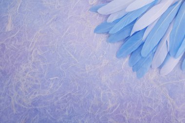 Angel Şifa. Çok renkli arka planda sağ köşede tüy var. Üst görünüm