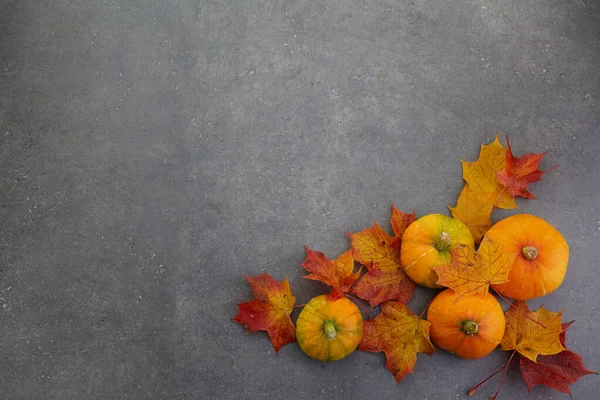 Thanksgiving of herfstvakantie achtergrond, bovenaanzicht, kopieerruimte. vakantie samenstelling met pompoenen, herfstbladeren. — Stockfoto