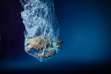 Okyanusta plastik torba içinde kaplumbağa. Platik kirlilik sorunu. Dünya Okyanusları Günü konsepti. Çevre kavramı.
