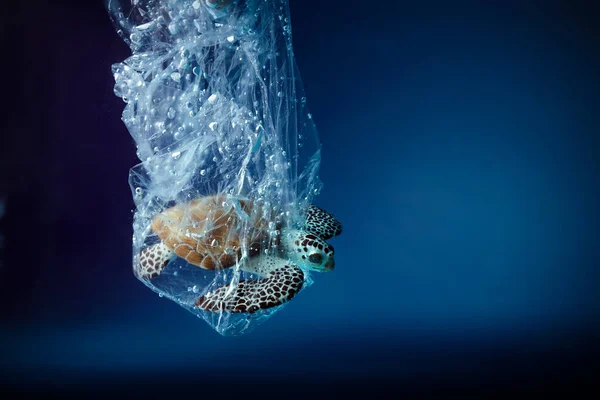 Okyanusta plastik torba içinde kaplumbağa. Platik kirlilik sorunu. Dünya Okyanusları Günü konsepti. Çevre kavramı. — Stok fotoğraf