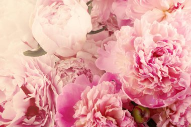 Pembe şakayıklar arka planı kapatır. Klasik çiçek arkaplanı. Güzel bir bahar bahçesi. Düğün konsepti.