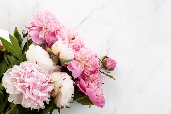 Belles pivoines roses sur fond de marbre vue de dessus, pose plate — Photo