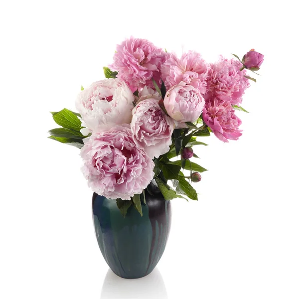 Piękne różowe piwonie gałąź izolowane na białym tle. Różowe tło kwiatowe. — Zdjęcie stockowe