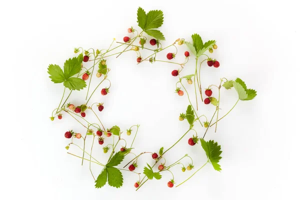 Marco rojo de fresas silvestres sobre fondo blanco con espacio de copia para texto — Foto de Stock
