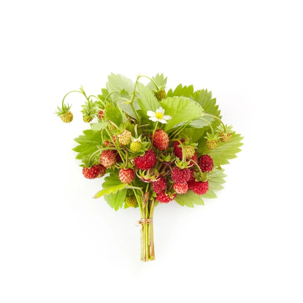 Srewberries selvagens com folhas isoladas no fundo branco. Fragaria vermelha — Fotografia de Stock