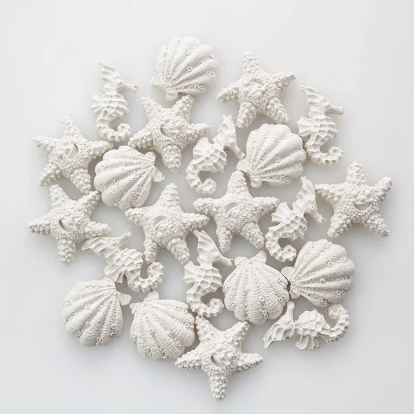 Fondo marino con mariscos, estrellas de mar y caballitos de mar. concepto blanco sobre blanco — Foto de Stock