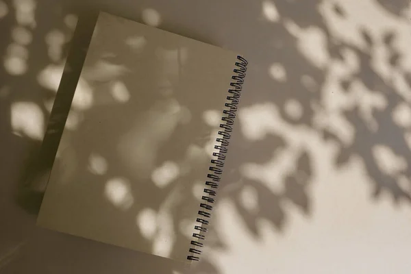 Libro de lácteos con sombras de plantas. Composición festiva. Planificador diario. — Foto de Stock