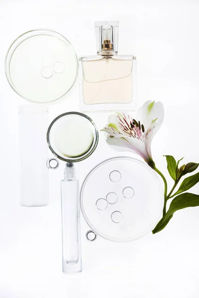 Abstract cosmetic laboratory. Chemical laboratory research. Nature cosmetics.