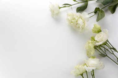 Eustoma çiçekleri arka planda düz bir şekilde beyaz arkaplanda. Tatil kompozisyonu. Düğün modası