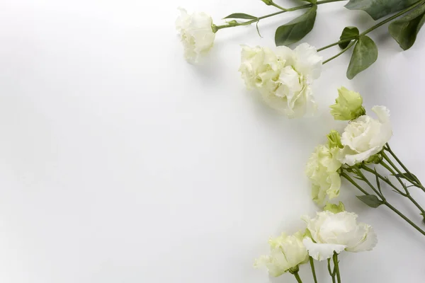 Eustoma květiny pozadí v plochém stylu na bílém pozadí. Složení dovolené. Svatební móda — Stock fotografie