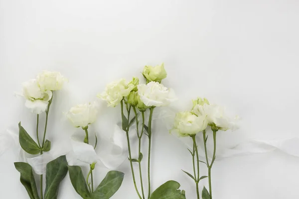 Eustoma flowers background in flat style on white background. Holiday composition. Wedding fashion — Stock Photo, Image