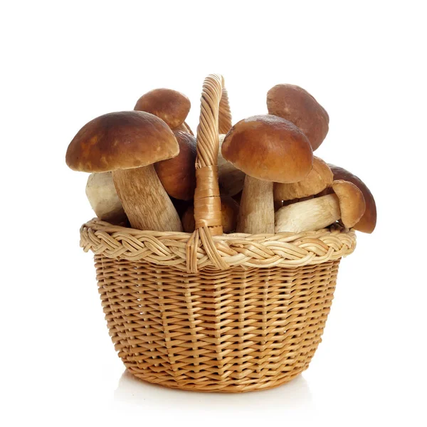 Mand dwaas van Boletus paddenstoelen geïsoleerd op witte achtergrond. Vegetarisch gezond voedsel. Gezonde voedselachtergrond. — Stockfoto