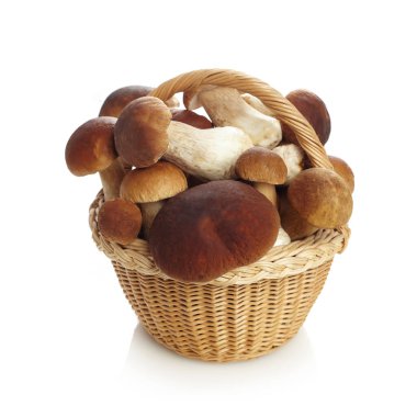 Beyaz arka planda izole edilmiş sepet mantar mantarı. Vejetaryen sağlıklı yiyecekler. Sağlıklı gıda geçmişi.