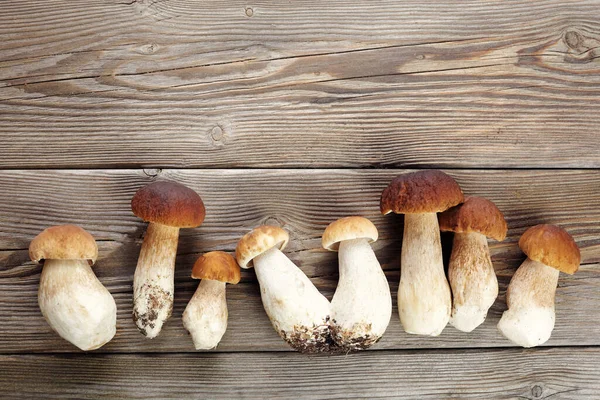Грибы boletus на деревянном фоне. Осенние грибы. Еда для гурманов — стоковое фото