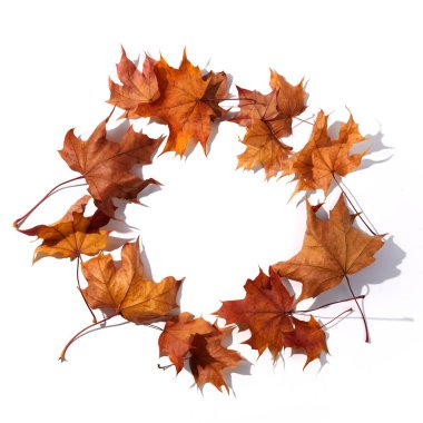 Sonbahar kompozisyonu. Beyaz arkaplandaki kurumuş yapraklardan yuvarlak çerçeve. Üst Manzara. Düz yatıyordu.