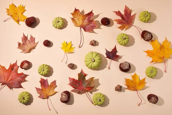 Herbstliche Komposition. Getrocknete Blätter und Pompkins auf pastellfarbenem Hintergrund. Ansicht von oben. Flache Lage. — Stockfoto