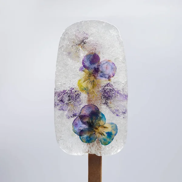 Crème glacée aux fkowers secs. Popsicle transparente, glace glacée. — Photo