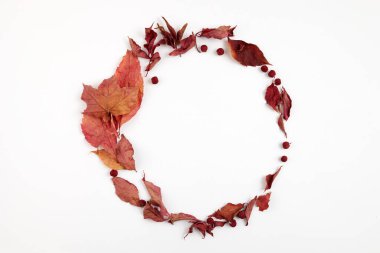 Sonbahar kompozisyonu. Beyaz arkaplandaki kurumuş yapraklardan yuvarlak çerçeve. Üst Manzara. Düz yatıyordu.