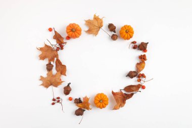 Sonbahar kompozisyonu. Beyaz arka planda kurumuş yapraklar ve balkabaklarından yuvarlak çerçeve. Üst Manzara. Düz yatıyordu.