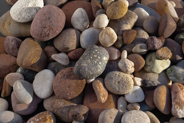 Small colored stones with beautiful beach wear, with some sea snails and sediments