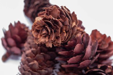 Bir Noel masası için ananas ve tohum ile Sıcak süsler veya sıcak bir dekorasyon için 