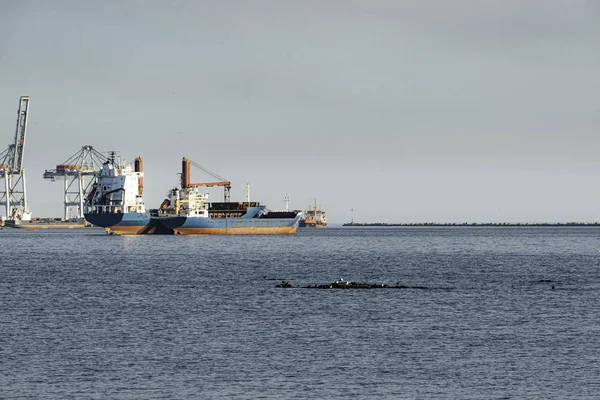 coast of the bay of Montevideo with its boats and its environmental pollution