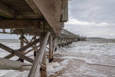 Punta del Este güzel ahşap iskele, bir yarımada bilmek gerekir