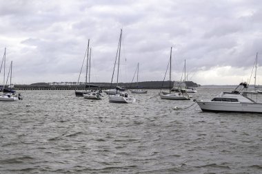 Punta del Este limanı, tekneleri ve hızlı demirlemeleri ile. yürümek için güzel bir yer