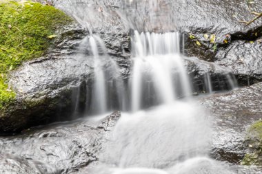 yerli dağ, yürüyüş ve doğada mükemmel egzersiz yürüyüş