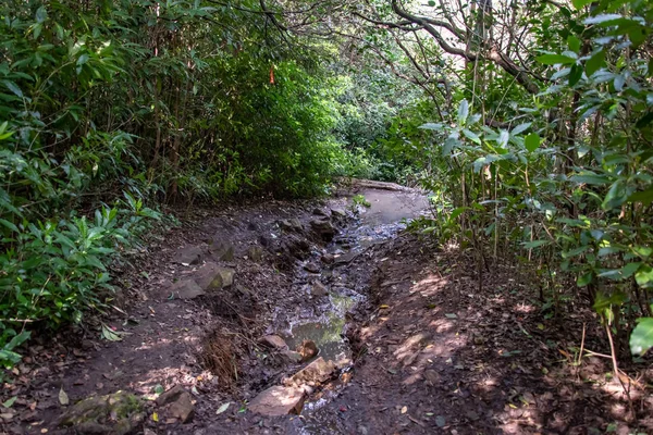 Chodzenie Przez Rdzennej Góry Chodzić Doskonałe Ćwiczenia Przyrodzie — Zdjęcie stockowe
