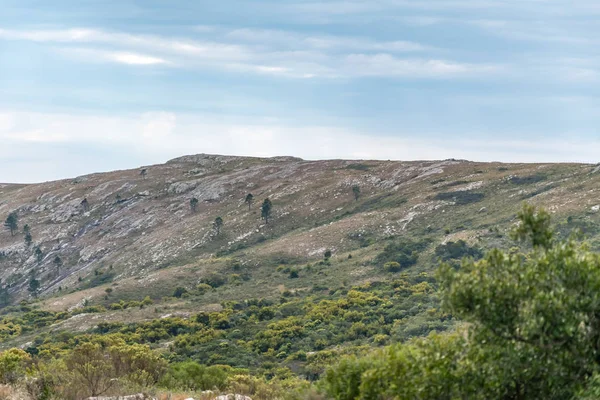 Sierra Las Animas Kouzelné Místo Kde Poznat Přírody Uruguayi Nádherném — Stock fotografie