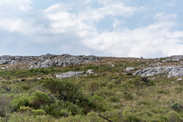 Sierra Las Animas Kouzelné Místo Kde Poznat Přírody Uruguayi Nádherném — Stock fotografie