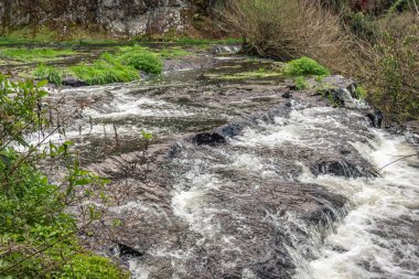 tarçın Brezilya güzel milli park, dinlenme yeri ve dağlarda yürümek