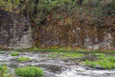 tarçın Brezilya güzel milli park, dinlenme yeri ve dağlarda yürümek