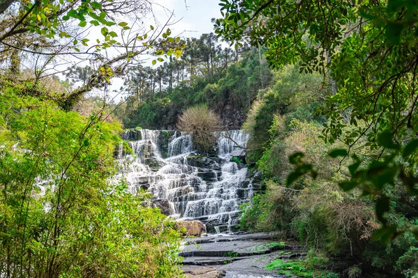 Όμορφο Εθνικό Πάρκο Στην Κανέλα Βραζιλία Τόπος Ανάπαυσης Και Περπάτημα — Φωτογραφία Αρχείου