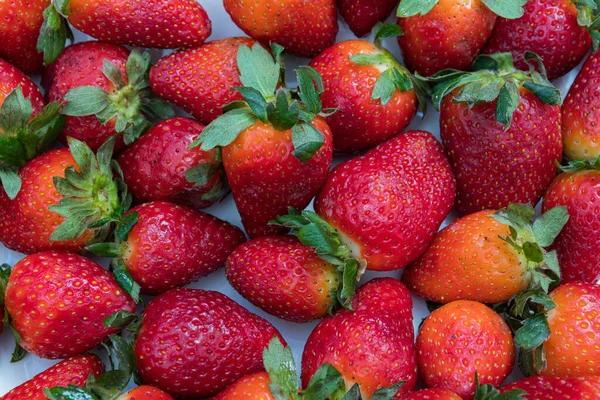 Fragole Fresche Naturali Mangiare Dolce Sano Con Famiglia — Foto Stock