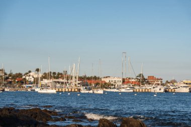 Limanı ve inşaatı devam eden Punta del Este Uruguay 'da tatil ya da yürüyüş için güzel bir okyanus kıyısı.