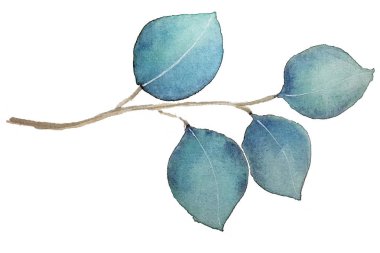 Suluboya ile Okaliptüs Yaprakları