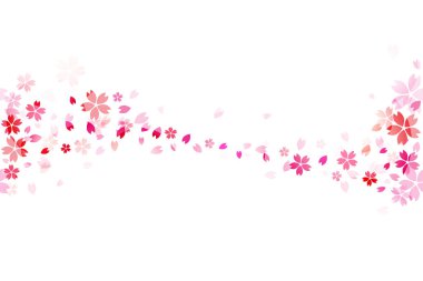 Pembe kiraz çiçeği çiçekleri sorunsuz arka plan güzel Aydınlatma etkisi ile göstermektedir. Japonya sembolik çiçekler wallpape süsler. Tekstil tasarımı veya ambalaj deseni tasarımı için.