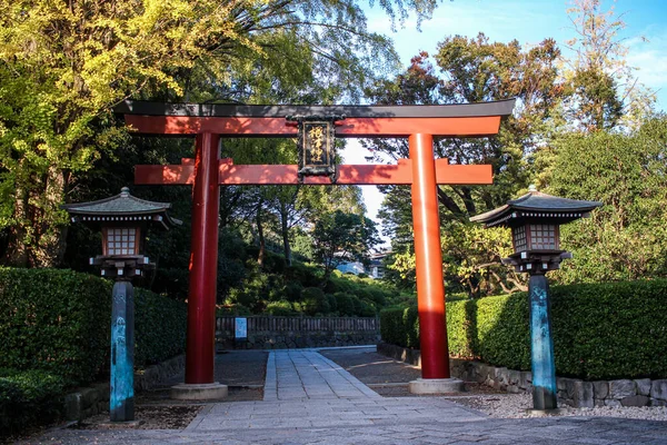 Ранкове Сонце Світить Воротах Торіїв Храмі Несу Бункьо Токіо — стокове фото