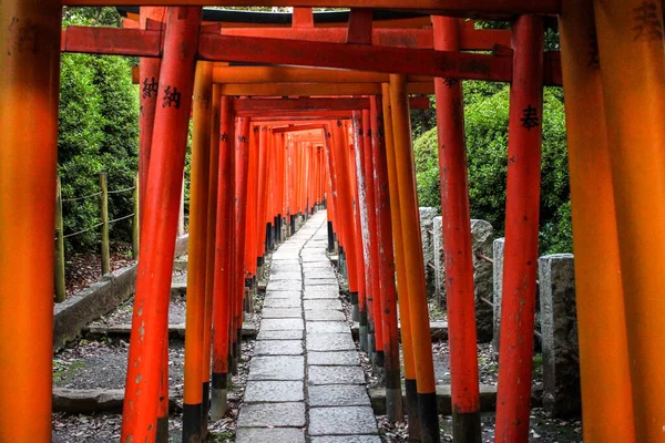 Тунель Воріт Торіі Токійському Храмі Незу — стокове фото