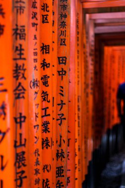 Kanji, Fushimi Inari 'nin kırmızı torii kapılarında yazıyor.