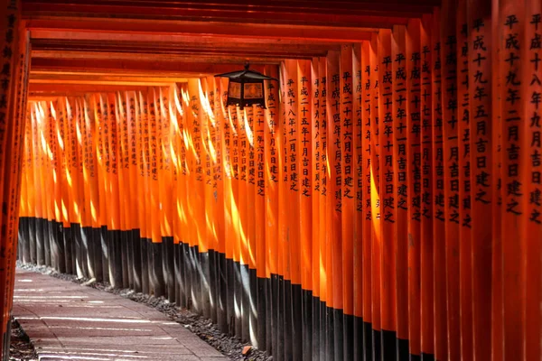 Luz Solar Tocando Através Dos Portões Torii Vermelhos Fushimi Inari — Fotografia de Stock